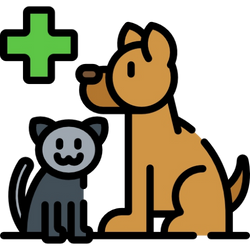 Pet Insurance